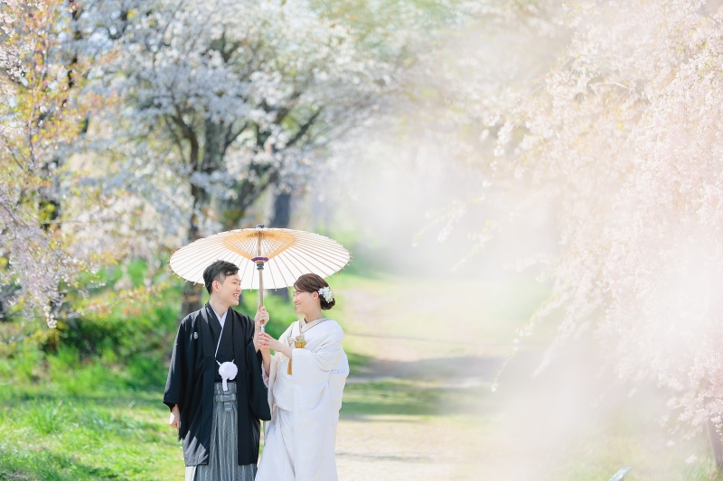 一面の枝垂れ桜 photo by谷澤明美