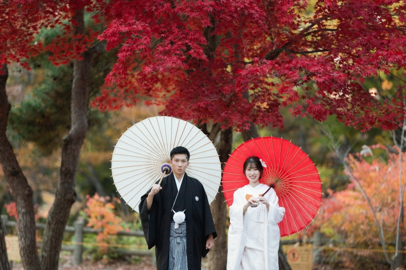 紅葉シーズン！