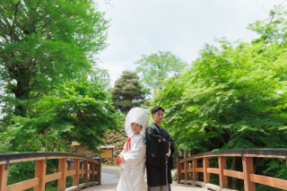 緑のロケ地に映える綿帽子!