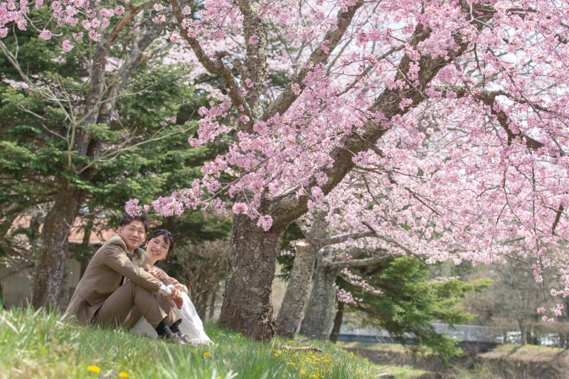 もうすぐ桜の季節!