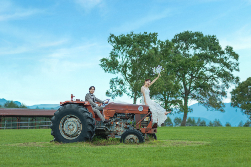 5月からがベストシーズン！長門牧場で叶える、ナチュラルフォトウエディング