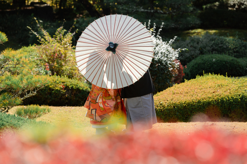 万酔園のいちょう並木 photo by 谷澤明美