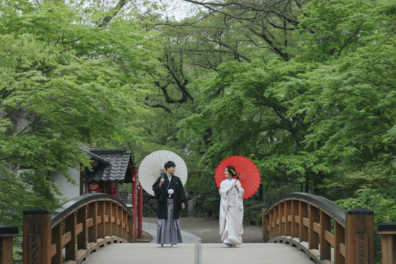 桜×緑