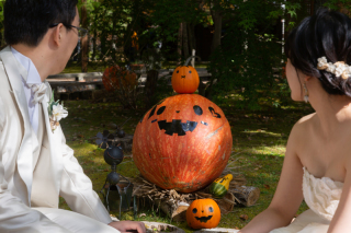 秋のタリアセン