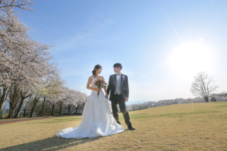 広い芝生と青空、桜で残すなら【東御中央公園】