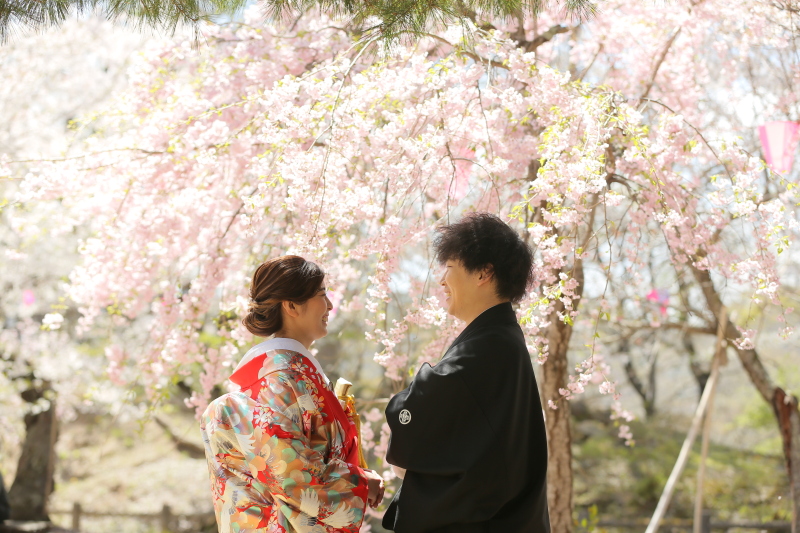 桜予約始まってます!