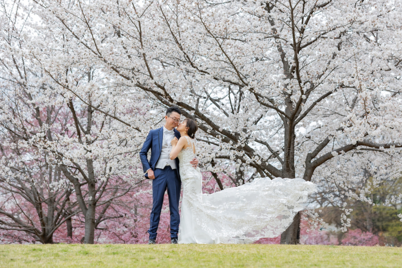 上田城跡公園ロケーションプラン