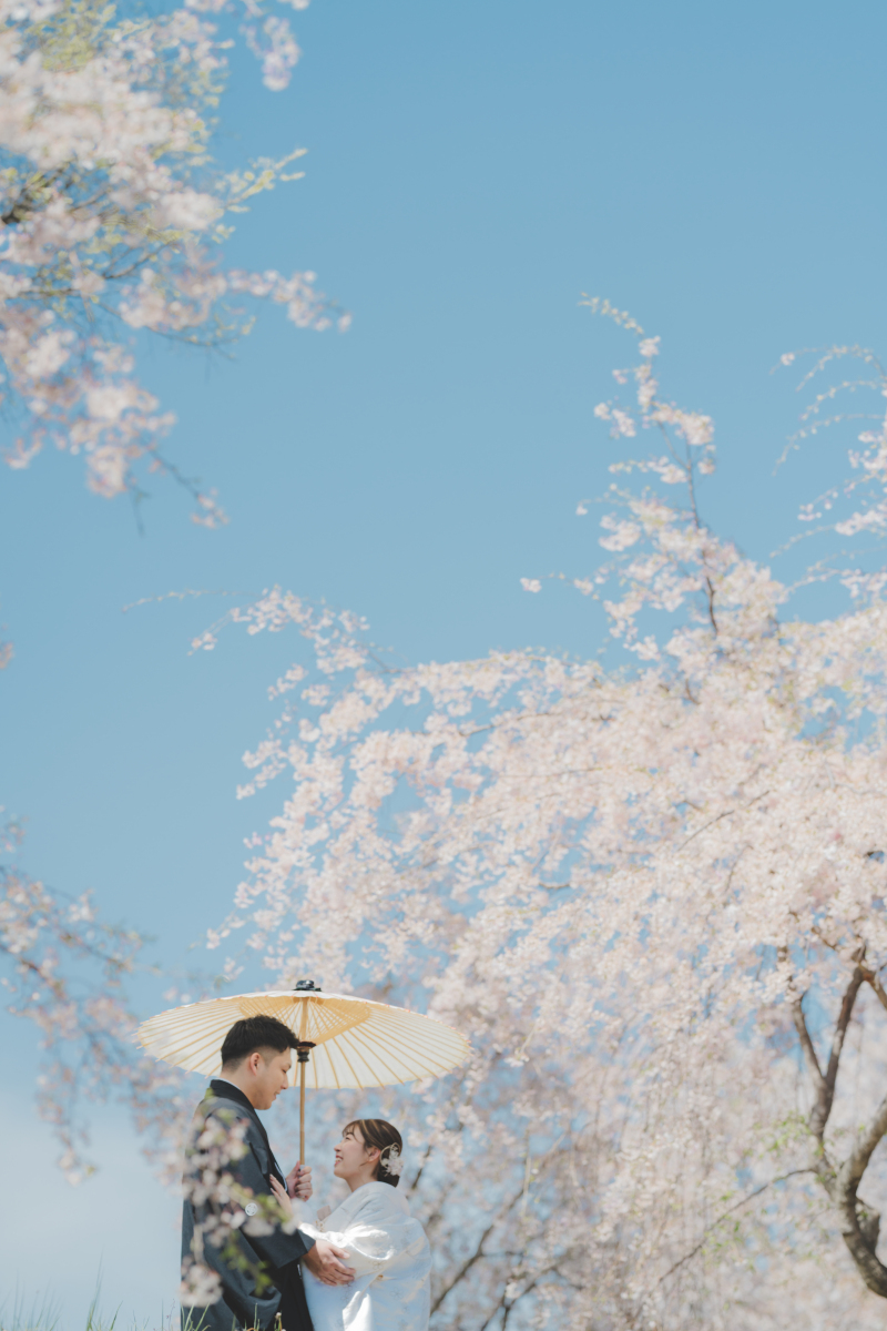 軽井沢桜ロケーション
