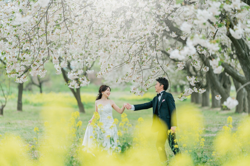 小布施の八重桜