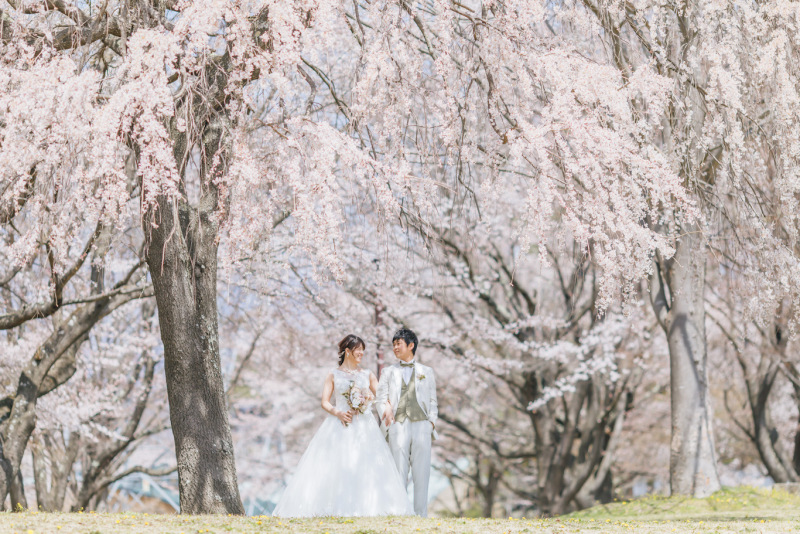満開の桜