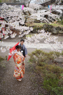 小諸懐古園で桜ロケーション