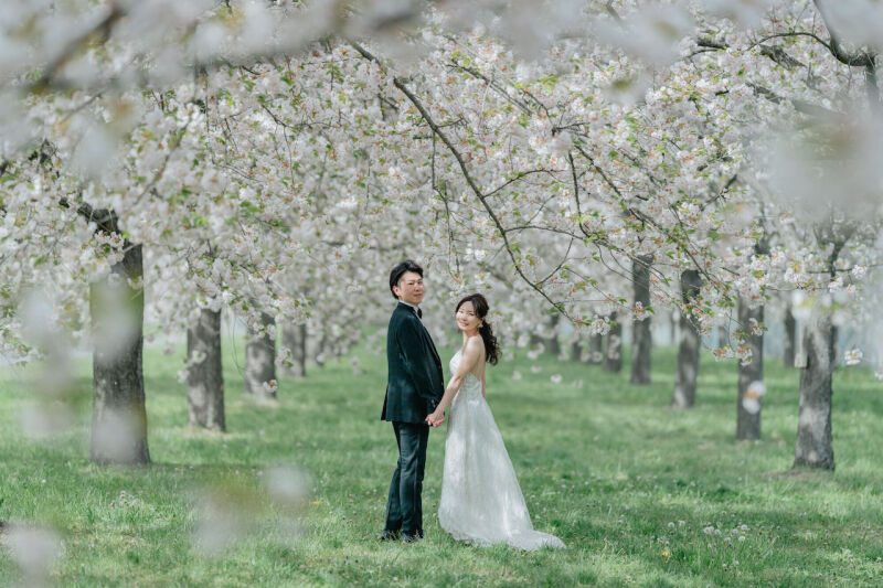 【桜と菜の花】の隠れ穴場スポット洋装ver.