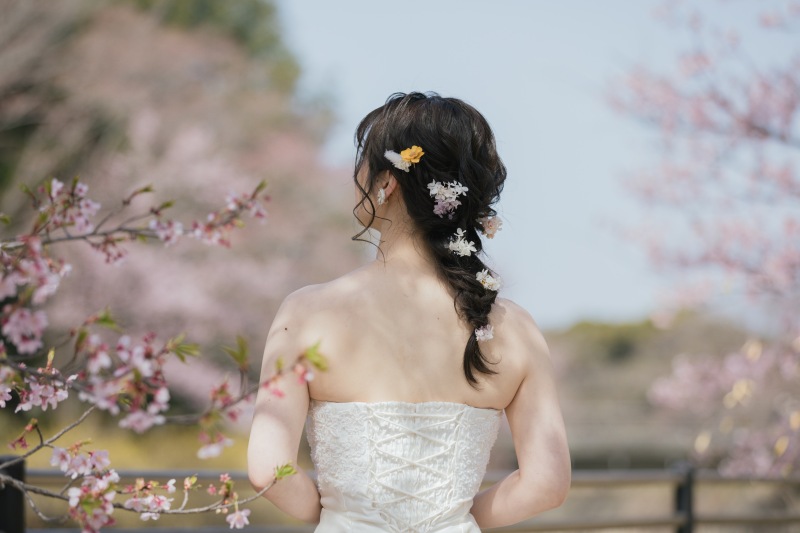 桜ろけはじまりました