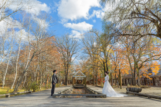 ひんやりしてきましたね・・・。