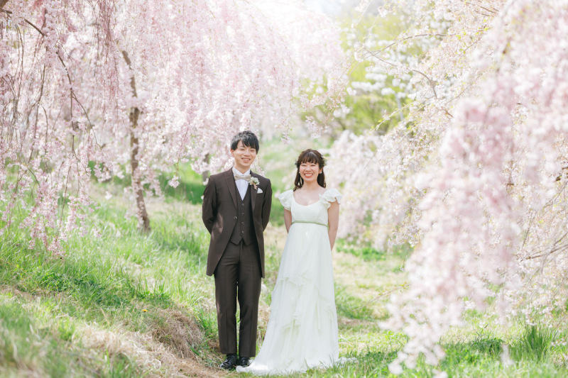 飯綱山公園が桜シーズンに選ばれる理由（今年の見頃予想）