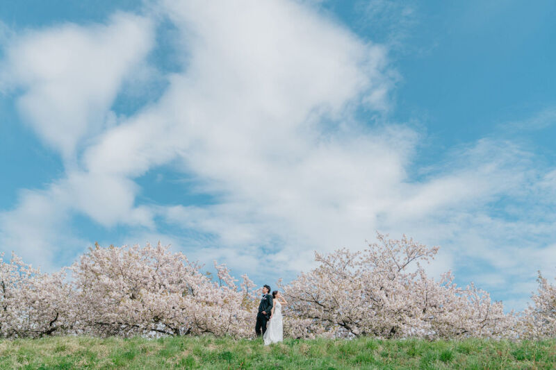 【桜と菜の花】の隠れ穴場スポット洋装ver.