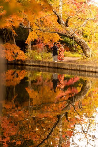 【紅葉】一日で叶う和装+洋装プラン