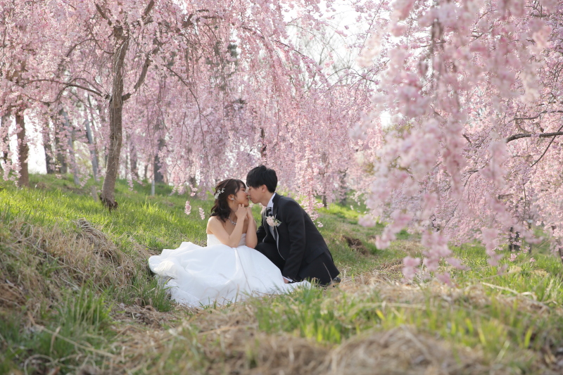 桜撮影のこりわずか!