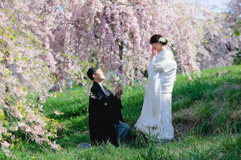 一面の枝垂れ桜 photo by谷澤明美