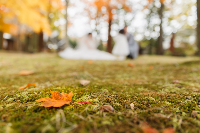紅葉彩るタリアセンで家族フォト