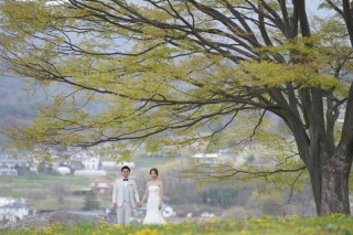 新緑シーズン突入！！