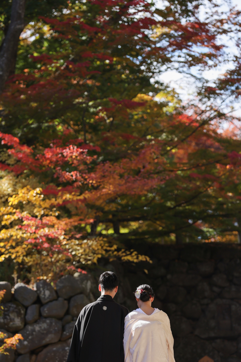 〜紅葉撮影予約受付中〜