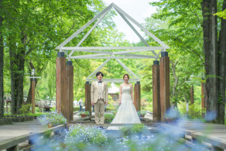 6月は新緑シーズン