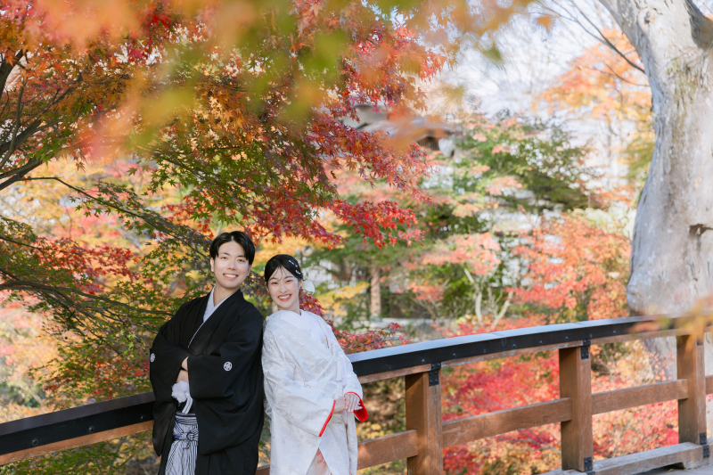 紅葉撮影【小諸懐古園】
