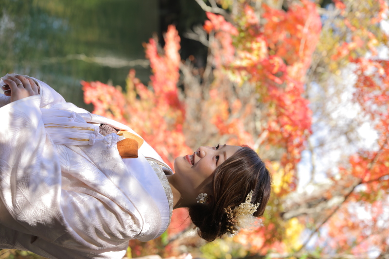 紅葉だより