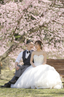 軽井沢桜ロケーション