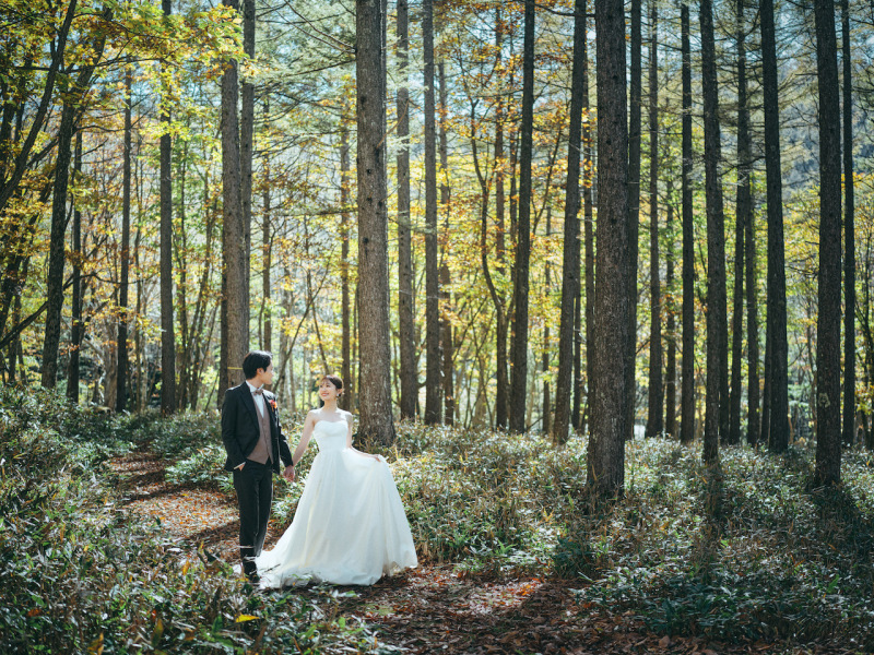 11月撮影枠空き状況