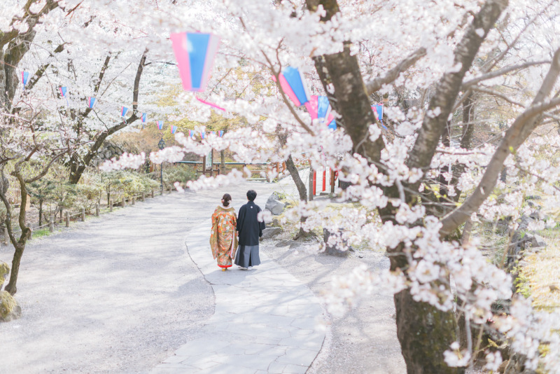 小諸懐古園の桜
