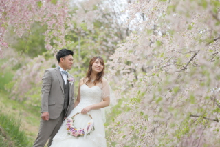 サクラロケーション〜飯綱山公園〜