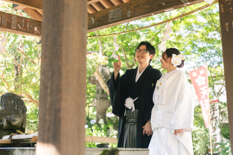 夏の日差しが映える小諸懐古園!