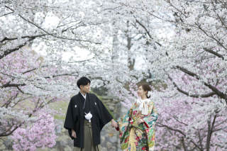 桜の見頃・スポット別紹介!