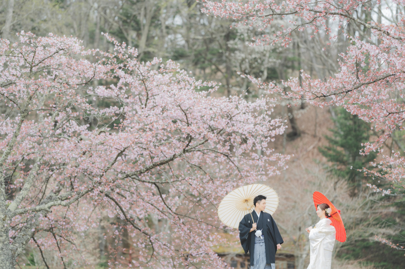 和装撮影+洋装撮影+小物撮影+和室撮影が叶う1日。