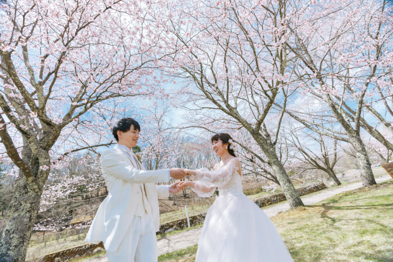 桜の見頃・スポット別紹介！