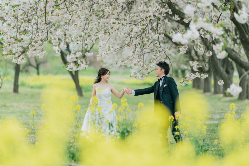 桜と菜の花が重なる、特別な春