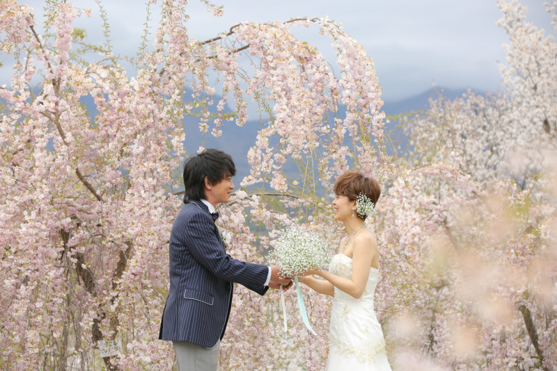 飯綱山公園の桜