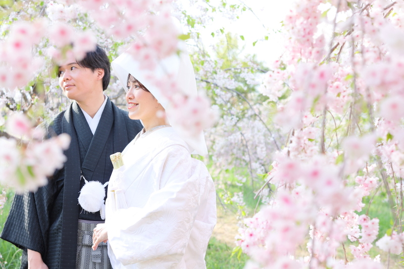 桜シーズンご予約受付中