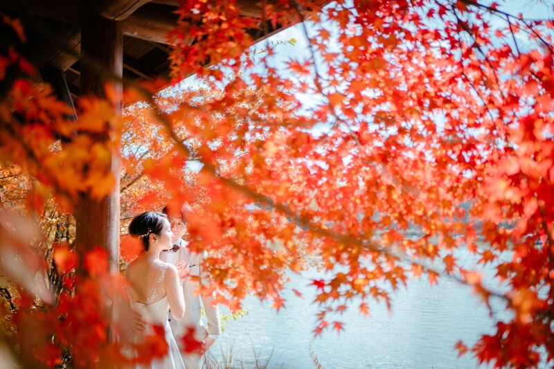 タリアセン紅葉撮影