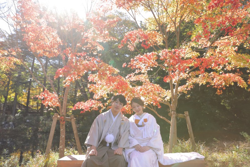 紅葉だより