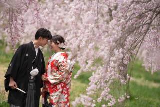 日本の春と和装の美しさ