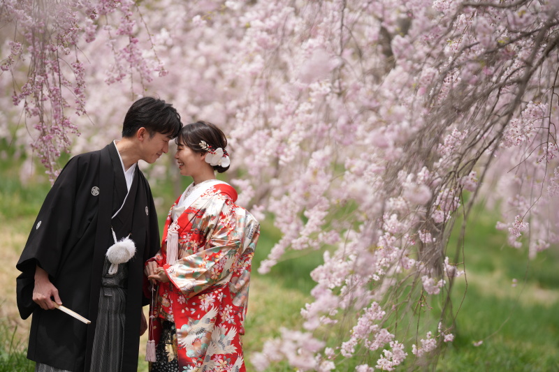 日本の春と和装の美しさ