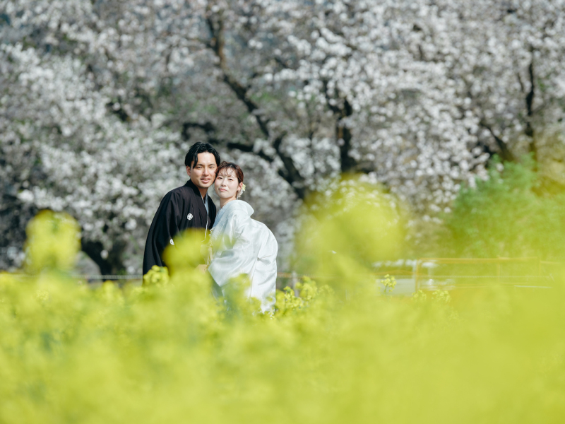 軽井沢店【桜と菜の花】の穴場スポット和装ver.