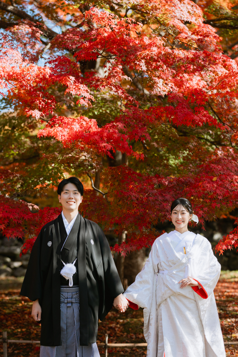 紅葉撮影【小諸懐古園】