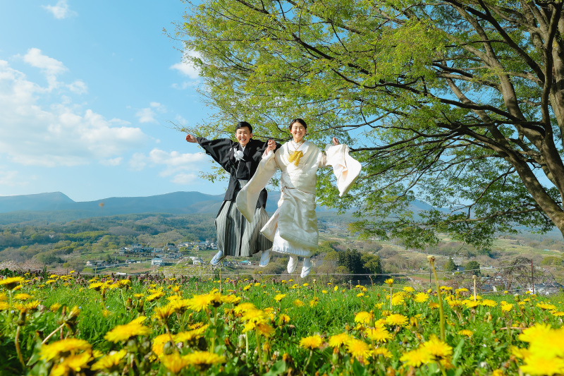 一面の枝垂れ桜 photo by谷澤明美
