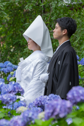 紫陽花と綿帽子|6月7月に叶える和装フォトウェディング