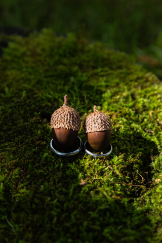 【11月の空き枠ご案内】