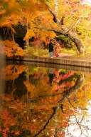 軽井沢紅葉シーズン